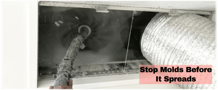 Air Duct Mold Removal in Woodlands