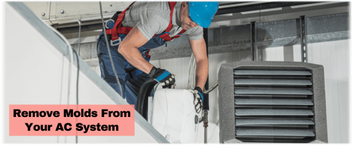 HVAC Mold Removal Woodlands